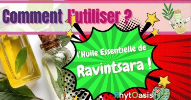 Ravintsara : Prévention, grippe, diffusion et spray expliqués !
