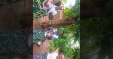 Ravitaillement en bois de chauffe pour la cantine de l'EPP/Sokouhoué