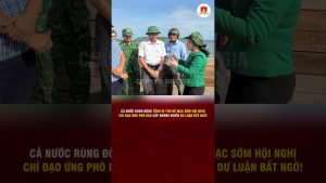 Réaction surprise du pays après la clôture de la réunion sur le typhon !