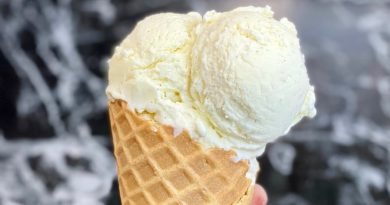 Recette Facile de Glace Vanille Maison Sans Sorbetière 🍦