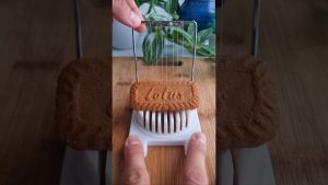 Recette facile de cheesecake au Speculoos !