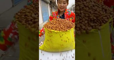 Récolte de Pistaches Fraîches : Le Processus Naturel 🌰