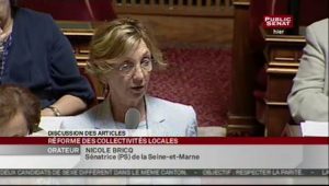 Réforme des collectivités territoriales : Séance du 6 juillet 2010