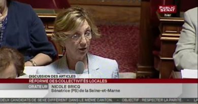 Réforme des collectivités territoriales : Séance du 6 juillet 2010