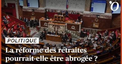 Réforme des retraites : vers une possible abrogation ?