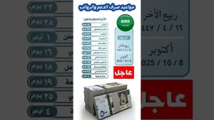 Réforme du système social en Arabie Saoudite : Vision 2030
