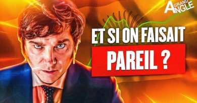 Réformer l'économie française en 6 mois : la méthode Milei