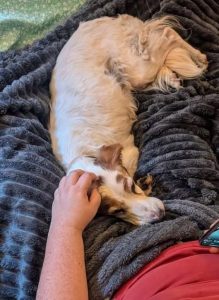 Refuge de Caldaniccia