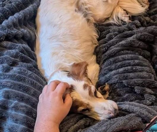 Refuge de Caldaniccia