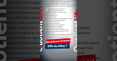 Remaniement ministériel : vérité ou rumeur ?