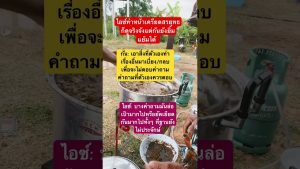 Remix Électro : Duet Musical et Nouvelles du Cinéma