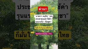 Remix captivant : DJ et EDM au cœur de l'actualité musicale