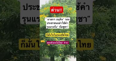 Remix captivant : DJ et EDM au cœur de l'actualité musicale