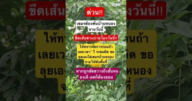 Remix captivant : DJ et EDM au cœur du cinéma automobile