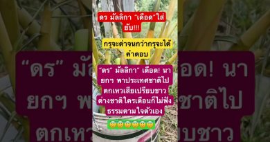 Remix électro : Duet Bamboo1 et son univers automobile