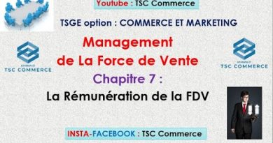 Rémunération des Forces de Vente : Clés et Stratégies