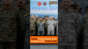Renforcement de la synergie des forces indiennes lors de l'Ex Trishul 2025
