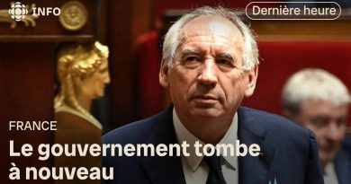 Renversement du gouvernement Bayrou lors d'un vote de confiance
