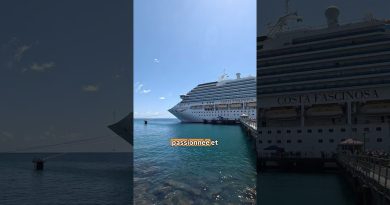 Réserve ta croisière : attends avant de te décider !