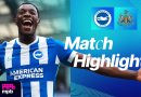 Résumé : Brighton contre Newcastle en Premier League