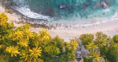Martinique, Fort-de-France, beach, volcano, palm, rainforest, Creole, boat, island