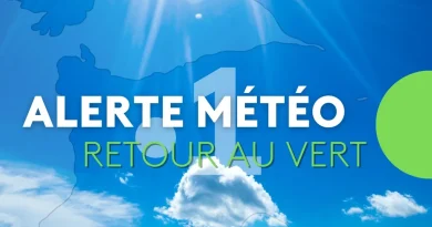 Retour au vert en Guadeloupe après le passage de l'onde tropicale n°35