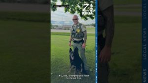 Retraite de K9 Axel annoncée par le bureau du shérif du comté d'Henry