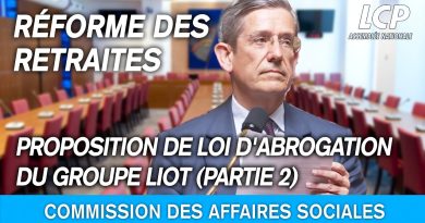 Retraites : Abrogation proposée par le groupe LIOT - Partie 2