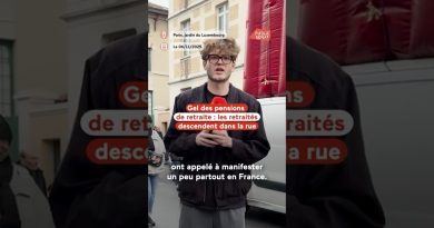 Retraités en colère : manifestation contre le gel des pensions