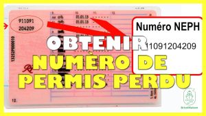 Retrouver son numéro de permis perdu : guide pratique
