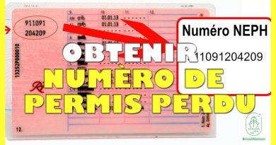 Retrouver son numéro de permis perdu : guide pratique