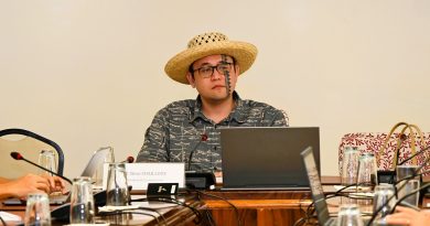 Réunion d'information consacrée au bilan des Assises de l'Archéologie 2024 et à l'état d'avancement du livre blanc de l'Archéologie en Polynésie française