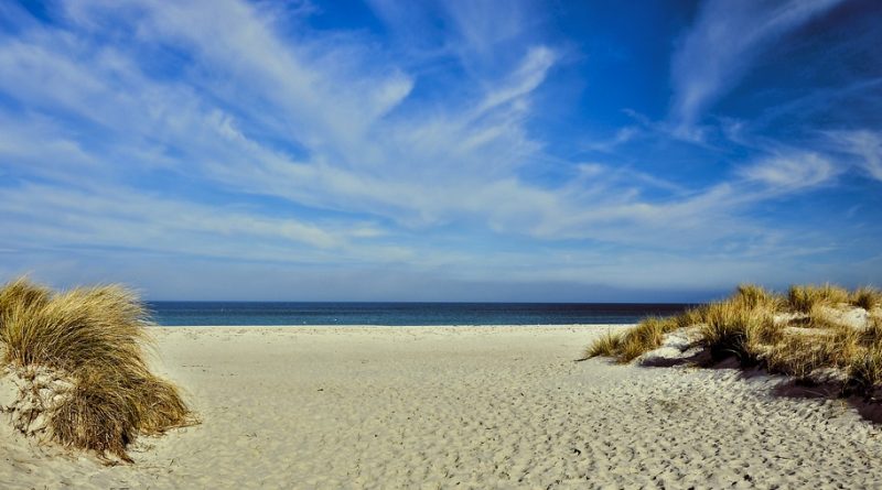 Nouvelle-Aquitaine, Bordeaux, Biarritz, dune, ocean, vineyard, forest, landscape