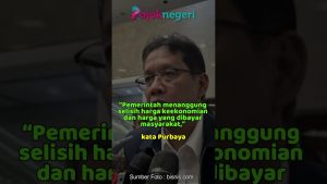 Révélations : Le prix réel du LPG 3 kg est de 42 000 Rp !