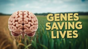 Révélations génétiques : Les mutations suppresseurs en médecine et agriculture