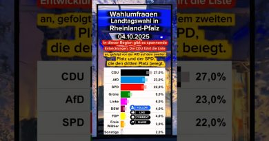 Rheinland-Pfalz : AfD seconde, CDU en tête, SPD en retrait