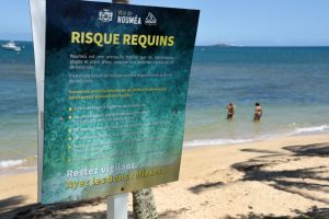 Risque requin : la ville de Nouméa appelle à "la plus grande vigilance"