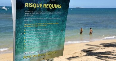 Risque requin : la ville de Nouméa appelle à "la plus grande vigilance"