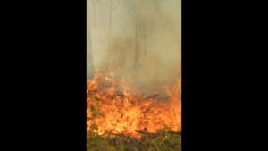 Risques de feux de forêt en Sologne - 10 octobre 2025