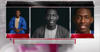 Risques des réseaux sociaux en Mauritanie : le cas Wolof