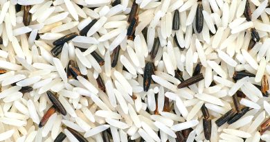 Riz : les prix mondiaux à leur plus bas niveau depuis dix ans, les Réunionnais vont-ils en profiter ?