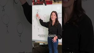 Rôle d'un préfet de MRC : enjeux des élections 2025