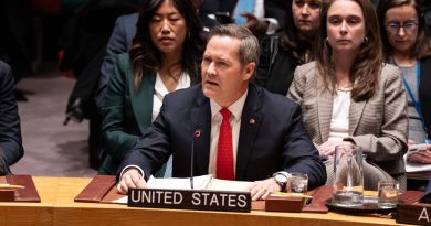 Le Conseil de sécurité de l’ONU vote pour une force internationale à Gaza