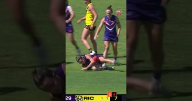 SKIP au cœur des tigres 🐯