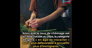 SONDAGE : L'immigration massive agace les citoyens