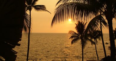 Guadeloupe, Basse-Terre, Pointe-à-Pitre, volcano, beach, palm, waterfall, Creole, island