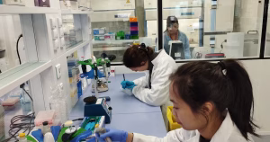 SQY Therapeutics, fondé par des familles, vise un traitement pour la myopathie de Duchenne