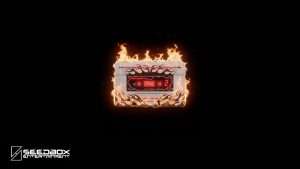 STARSEED'Z - Points Forts de l'Album Mini [RUNWAY]