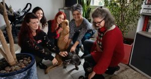 Saint-Sernin-du-Bois. L’Arche de Néo, pension animalière, cherche de nouvelles familles d’accueil