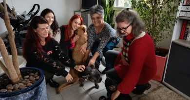 Saint-Sernin-du-Bois. L’Arche de Néo, pension animalière, cherche de nouvelles familles d’accueil